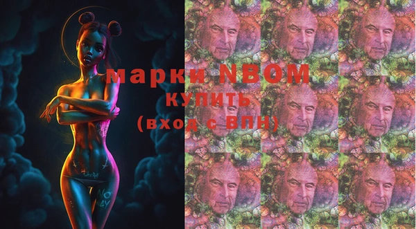 гидропоника Алзамай