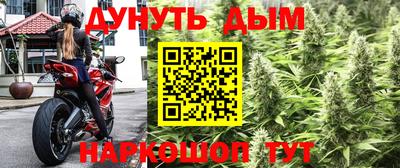 мяу мяу мука Шелехов