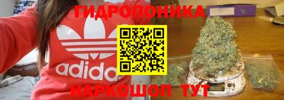 спиды Шахты