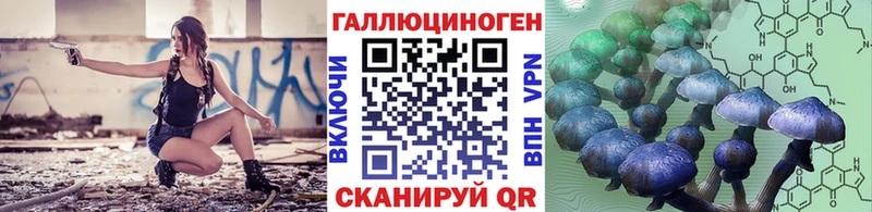 дарнет шоп  Усть-Кут  Псилоцибиновые грибы Psilocybine cubensis 