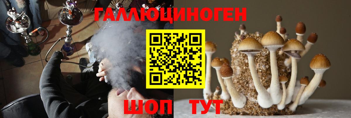 Усть-Кут  закладки  Псилоцибиновые грибы ЛСД  Вход с VPN  Псилоцибиновые грибы Magic Shrooms 